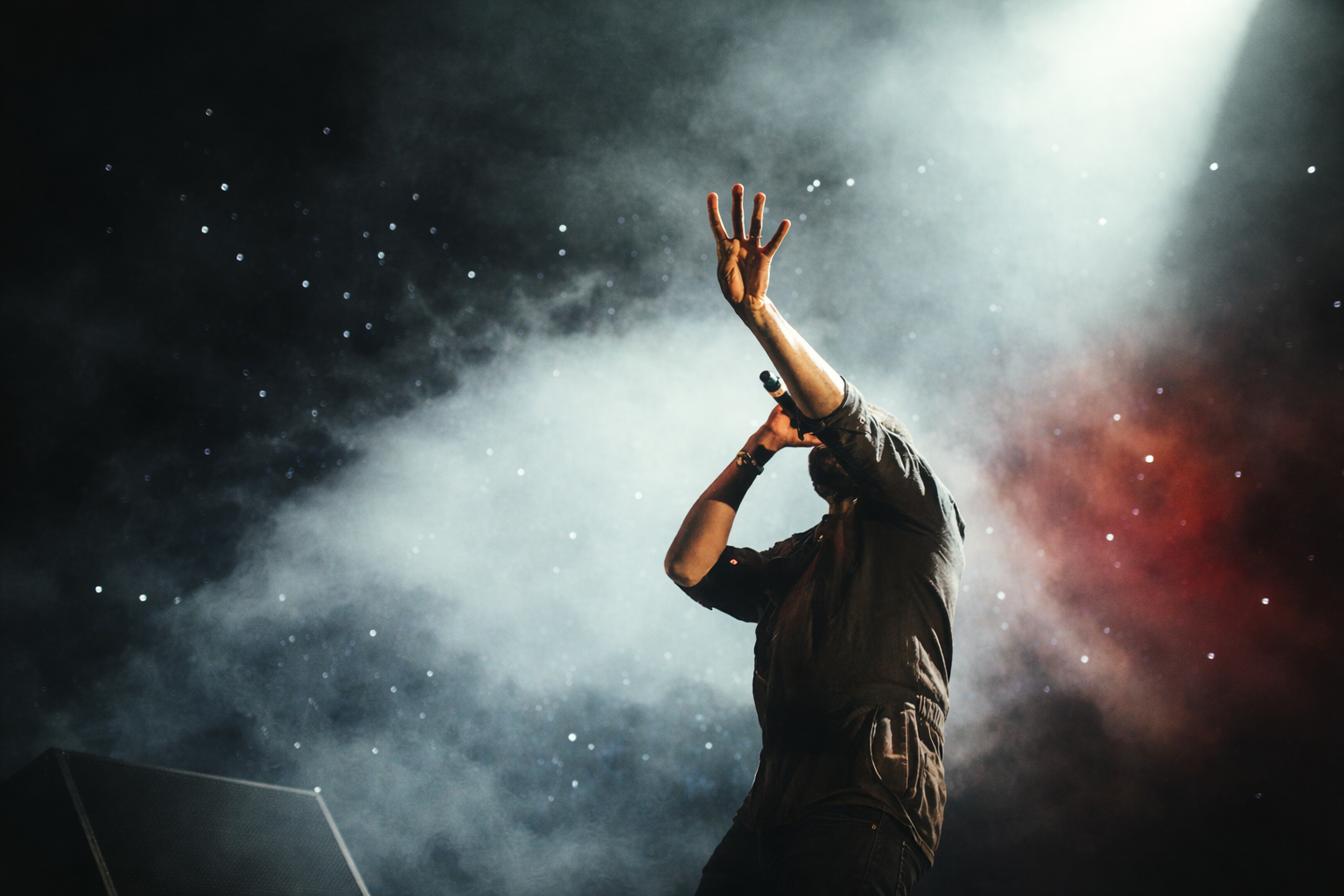 Artist Performance
